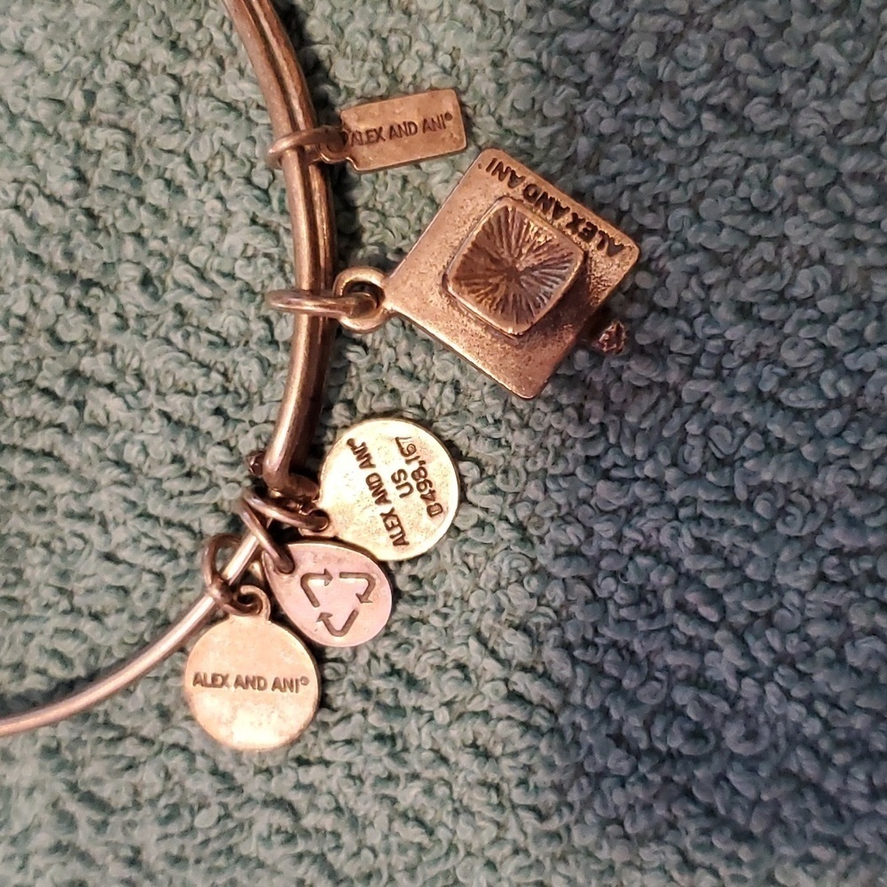 Alex & Ani Bangle Bracelet - Picture 4 of 4
